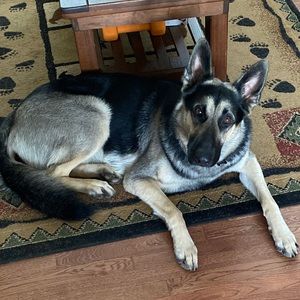 Meet your Posher, Amber